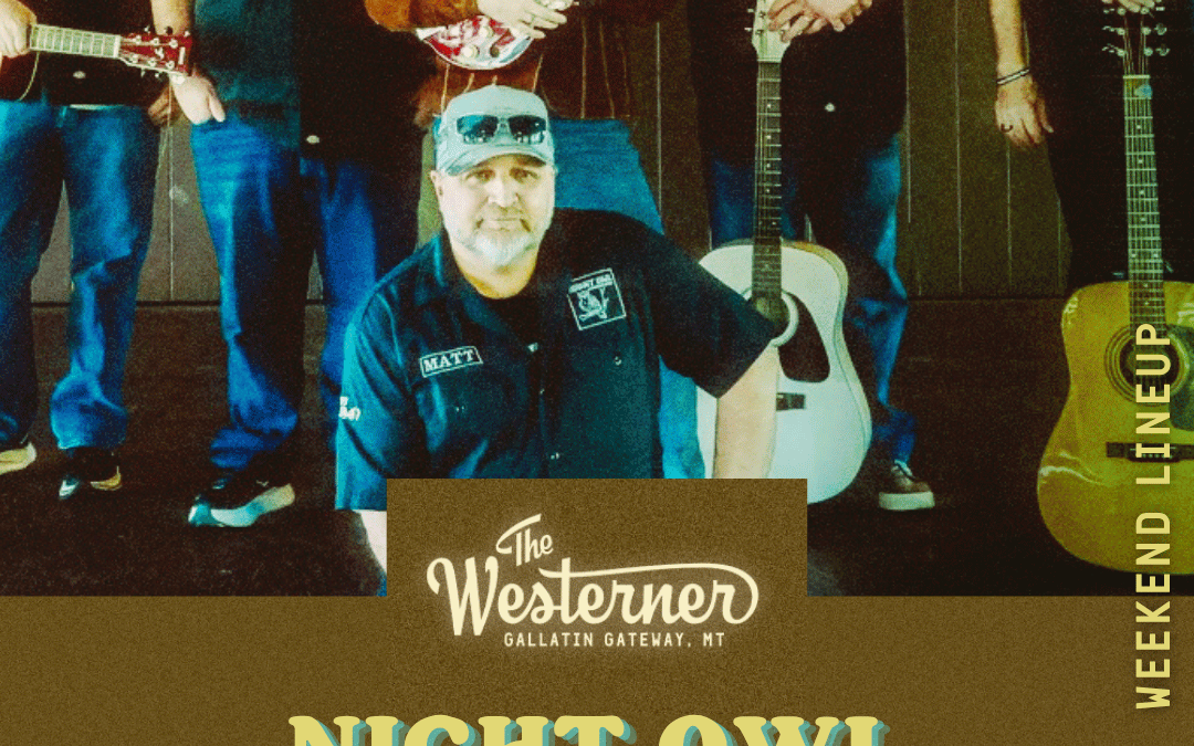 Night Owl Country Band